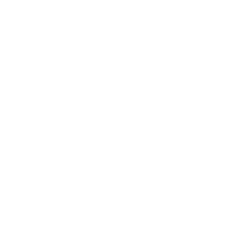 Flow Sense Logo